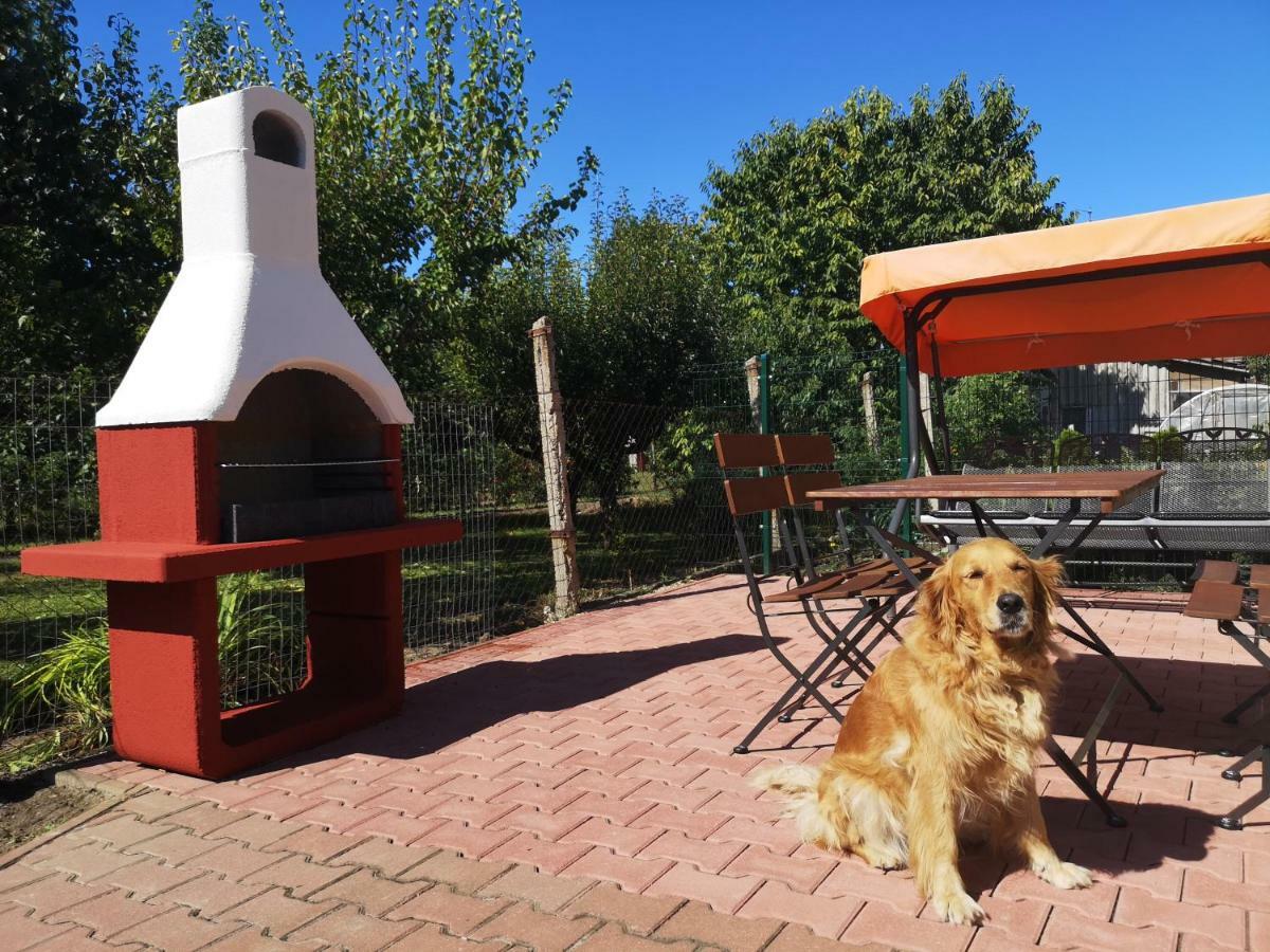 Apartman Kaszas Garden Mosonmagyaróvár Dış mekan fotoğraf